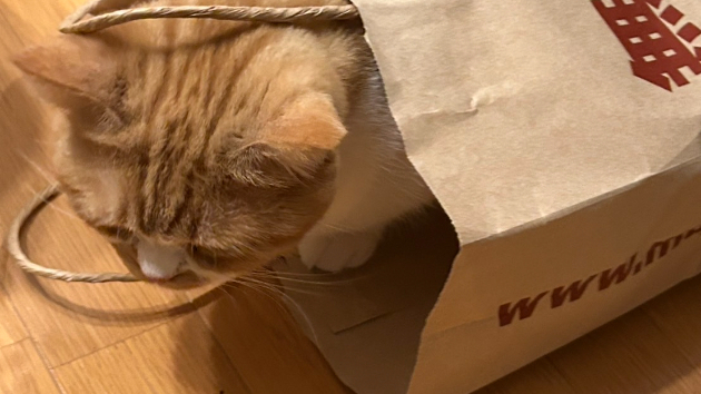 カバー画像