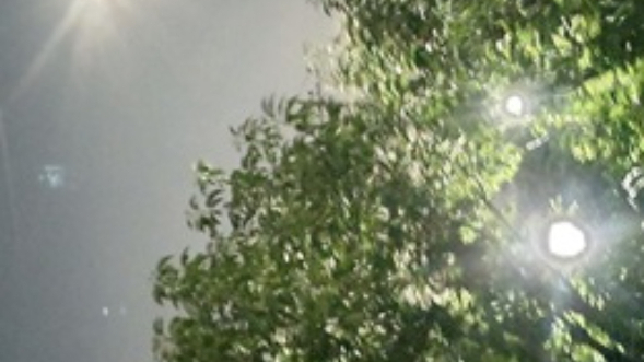 やぎ座満月・・・昨夜の月