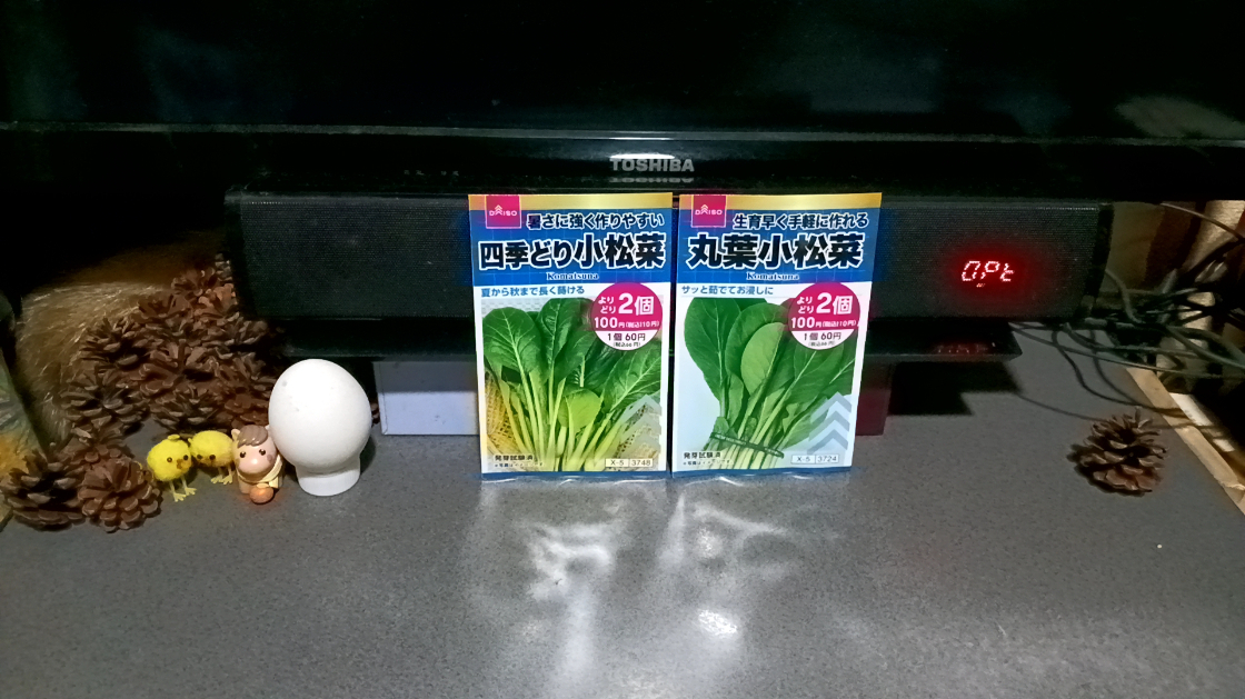 冬の御野菜の種も買ってきた
