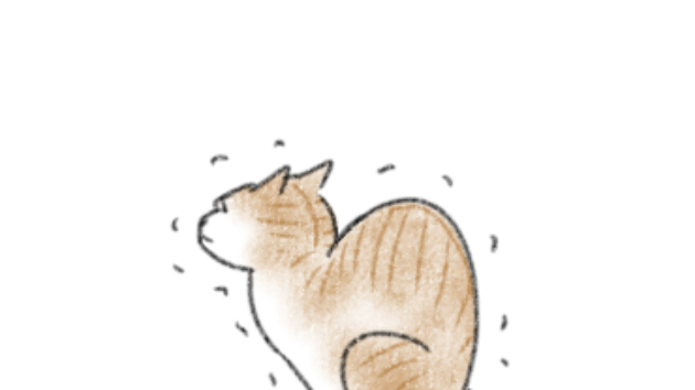 猫さん！そのポーズは！