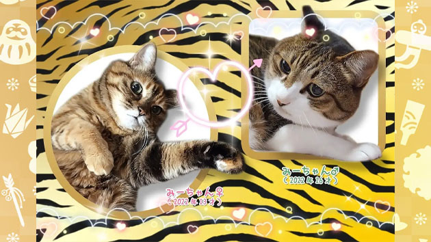 来年は寅年(=^・^=)