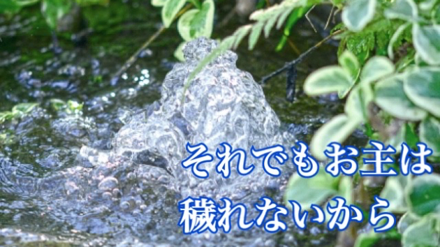 どんな風に感じても