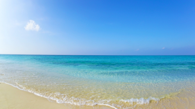 カバー画像