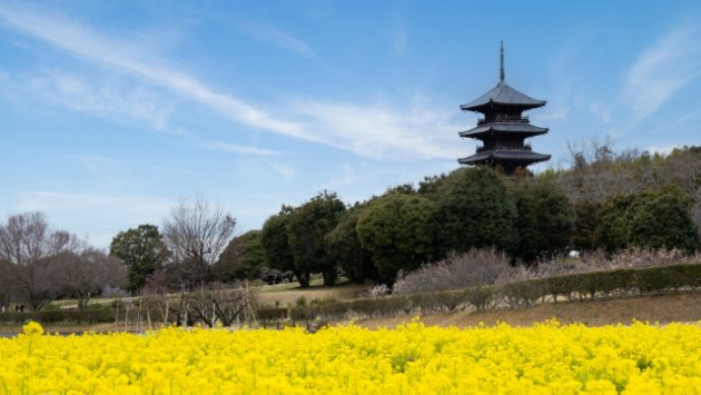 「人生は次第に様々なものを失って行く旅」