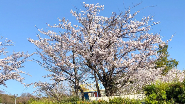 カバー画像