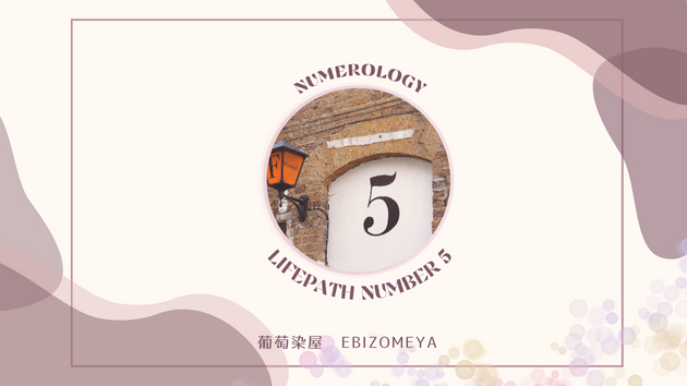 【数秘5】飽きっぽいスナ○キン上等