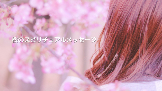 ●桜のスピリチュアルメッセージ♪