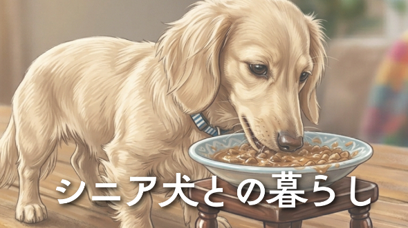 カバー画像