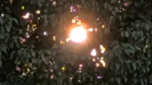 霊感の遺伝