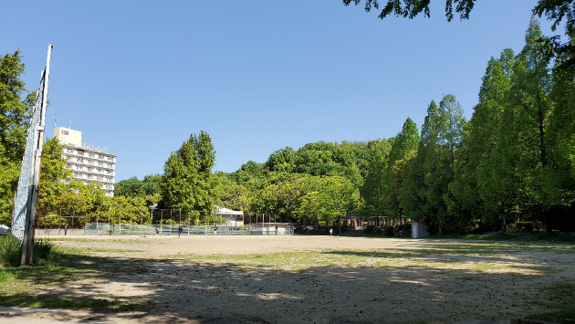 自治会の清掃活動