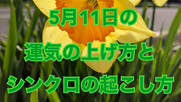 ５月１１日の運気の上げ方とシンクロの起こし方☆彡