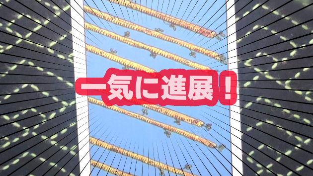 10月17日(木)のワンオラクル