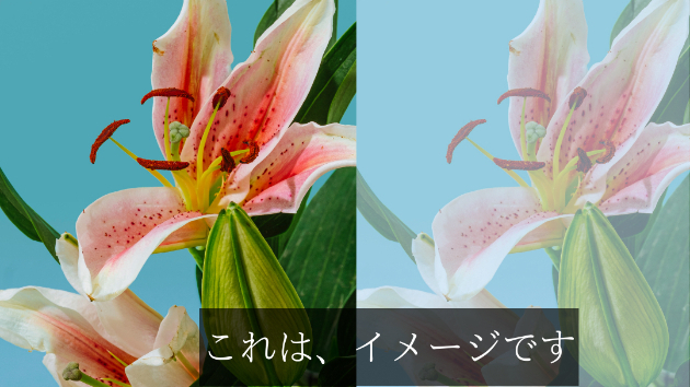 WordPressの吹き出しの画像が落ちた時