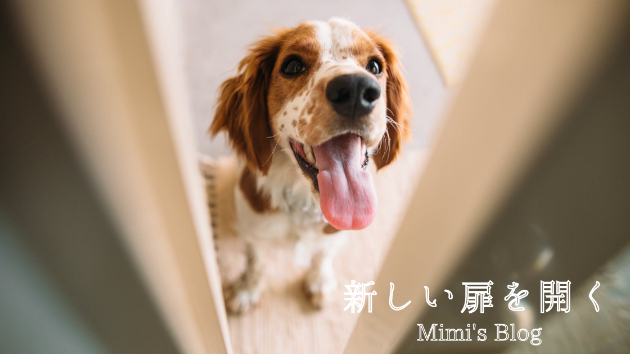 新しい扉を開く