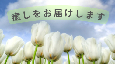 新サービスのご案内
