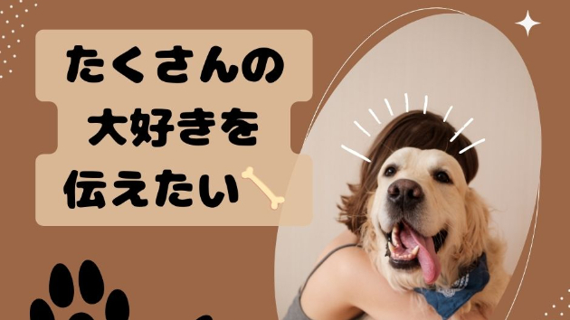 ボクの大好きな気持ち受け取れてる？