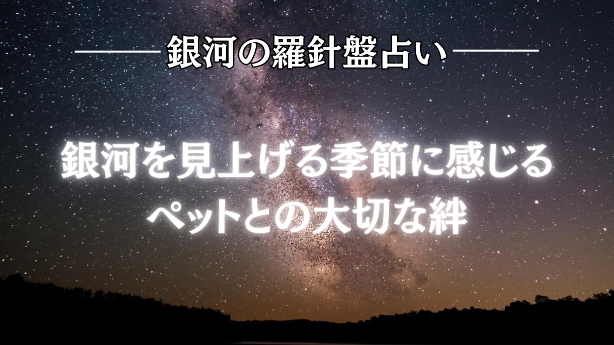 2026年7月6日☆銀河の導き（ペット）