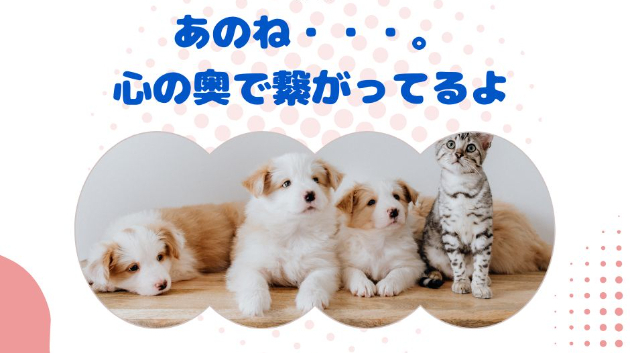 心の深いトコロでの交流について