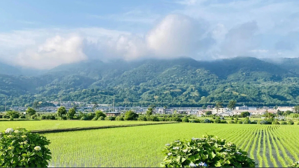 ありがたさを知ることが、本当の開運の始まり