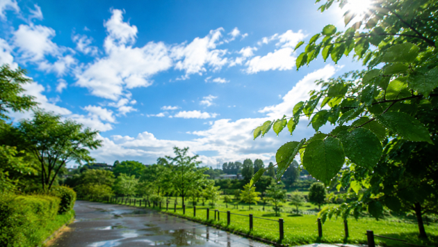 梅雨の晴れ間