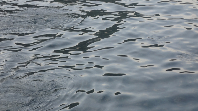 海辺17