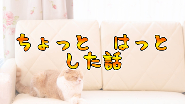 カバー画像