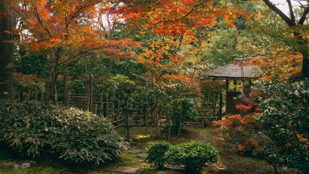 純と濁