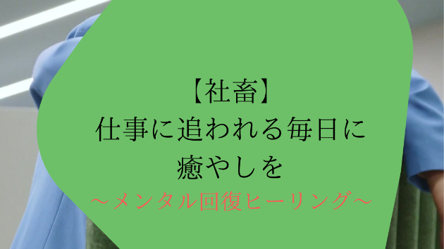 【社畜】仕事に追われる毎日に癒やしを
