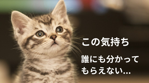 結婚生活がつらい、誰にも分かってもらえない