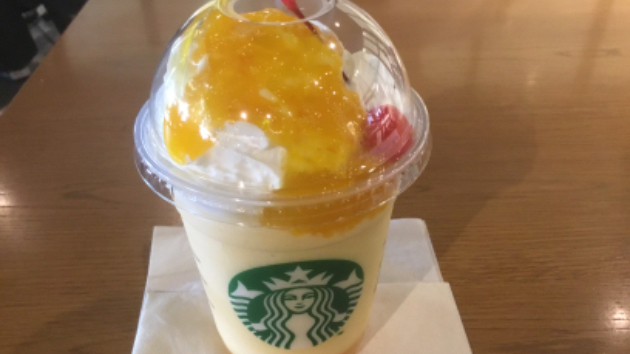 ウチダメンタル　心の幹を太くする術