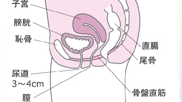 カバー画像