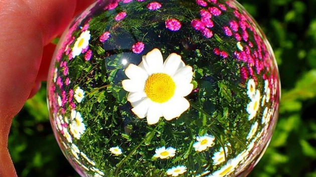 大切なもの