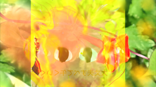 うまの一刻