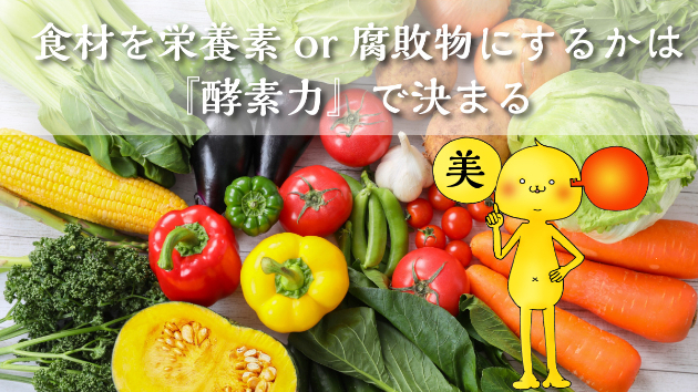 食材を栄養素or腐敗物にするかは『酵素力』で決まる
