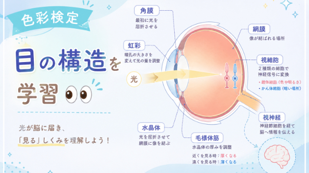 カバー画像