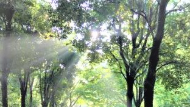 神との対話2 第九章 『いや、観察だ』