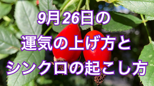 カバー画像