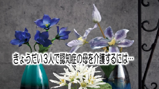 きょうだいで認知症の母を介護するには…