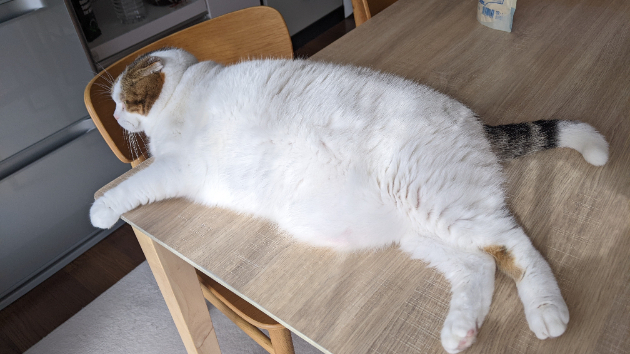 久しぶりの時間。