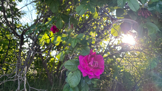 転んだんです😂
