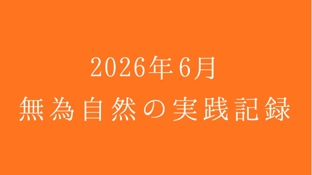 2026年6月13日　無為自然の実践記録