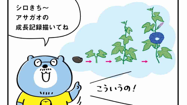 カバー画像