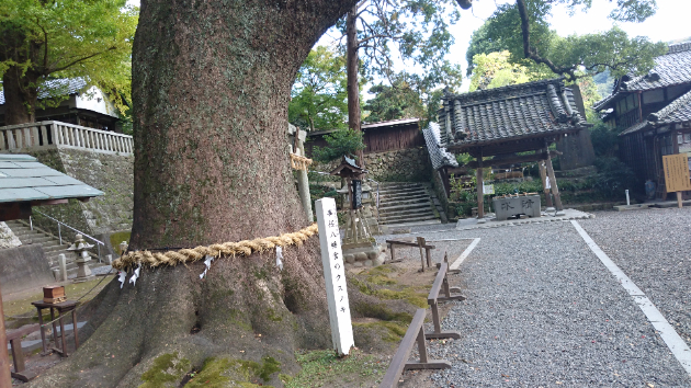 カバー画像