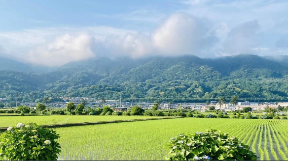 神さまに命をお返しするその日まで