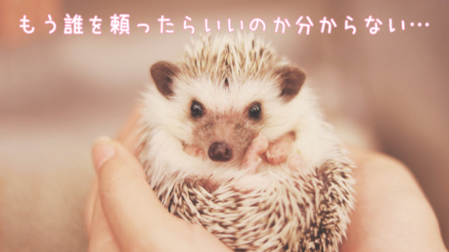 カバー画像