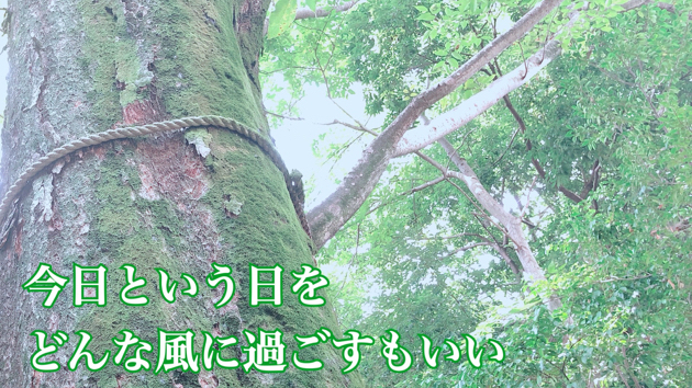今日から9月