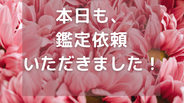 ＜感謝♡＞本日も、また鑑定依頼いただきました！