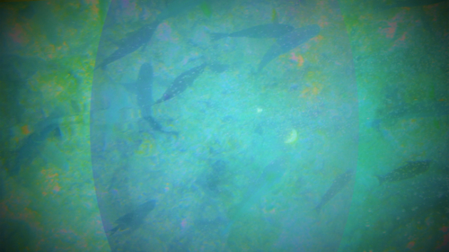 目に見える浅瀬は・・深海の問題を映してみせている・・