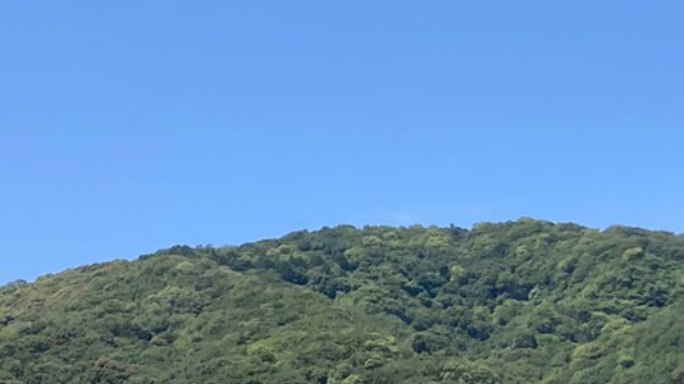 美しい！