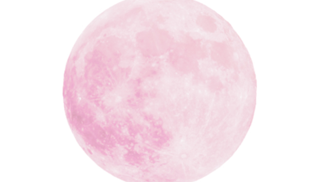 今夜は…